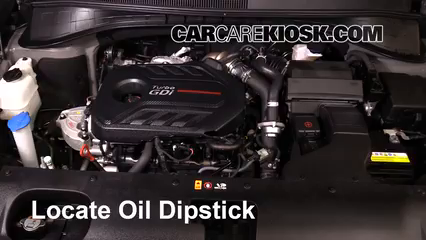 2017 Kia Sorento EX 2.0L 4 Cyl. Turbo Oil Check Oil Level